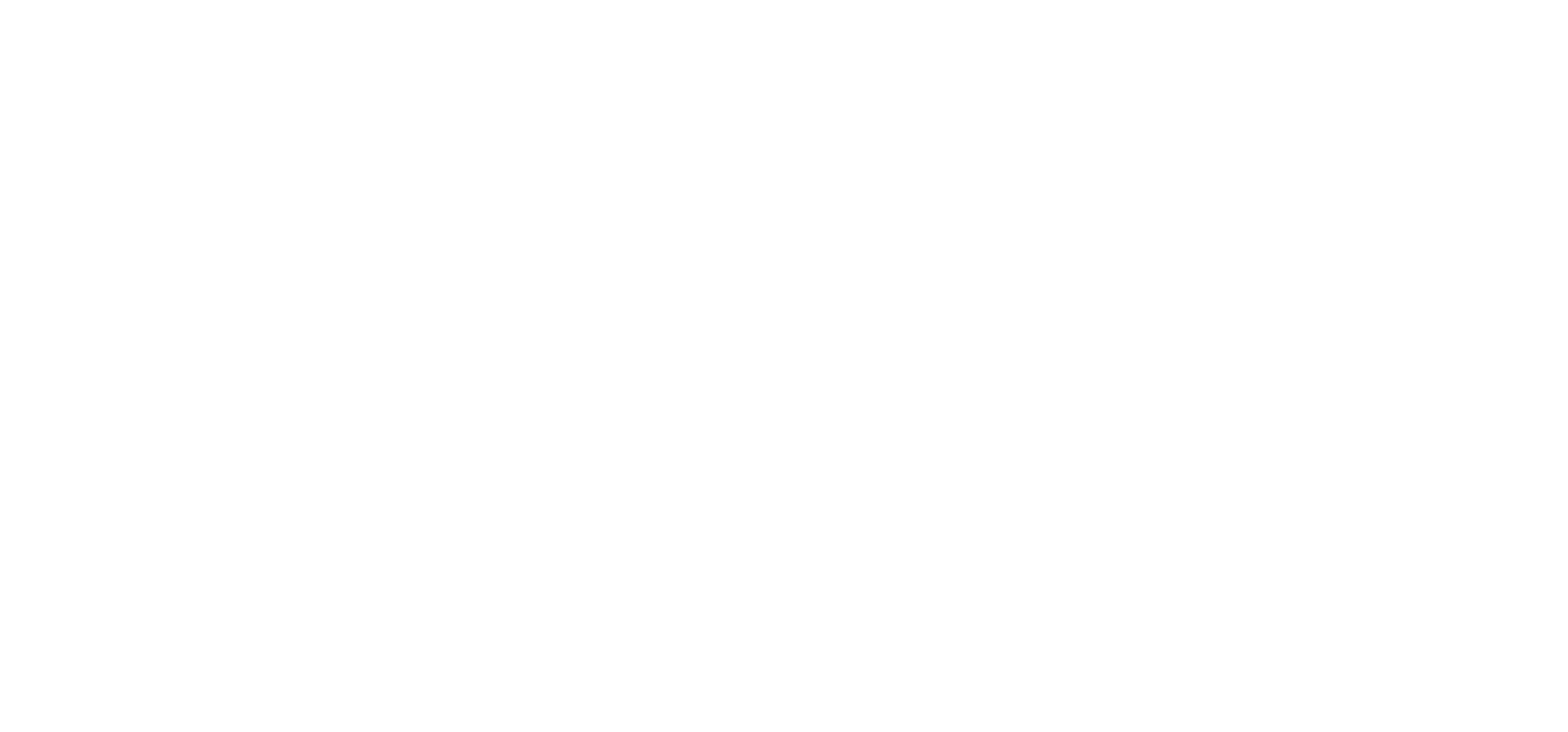 Megabike_Logo_white
